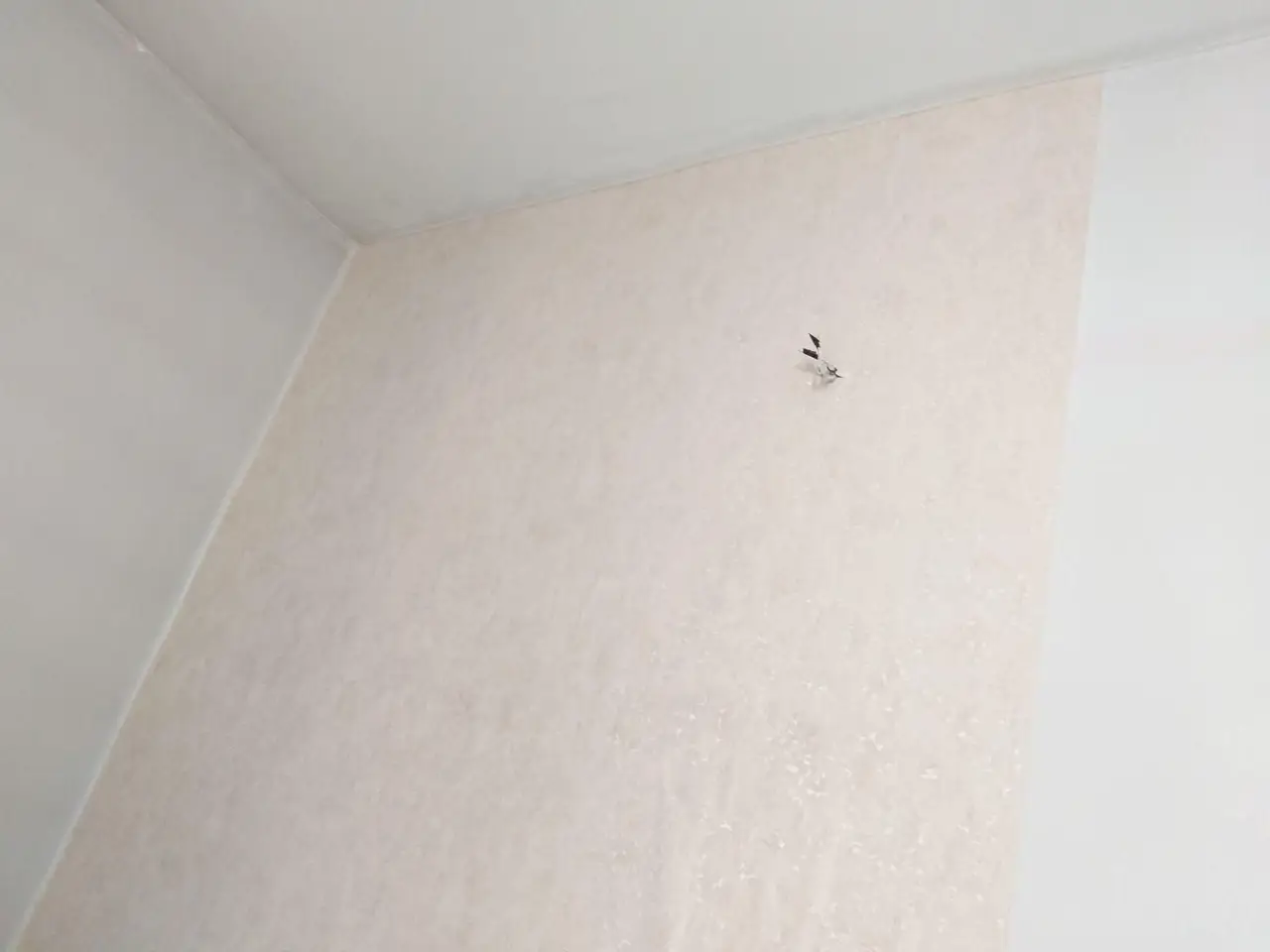 نصب کاغذ دیواری پارکت کفپوش سقف کاذب